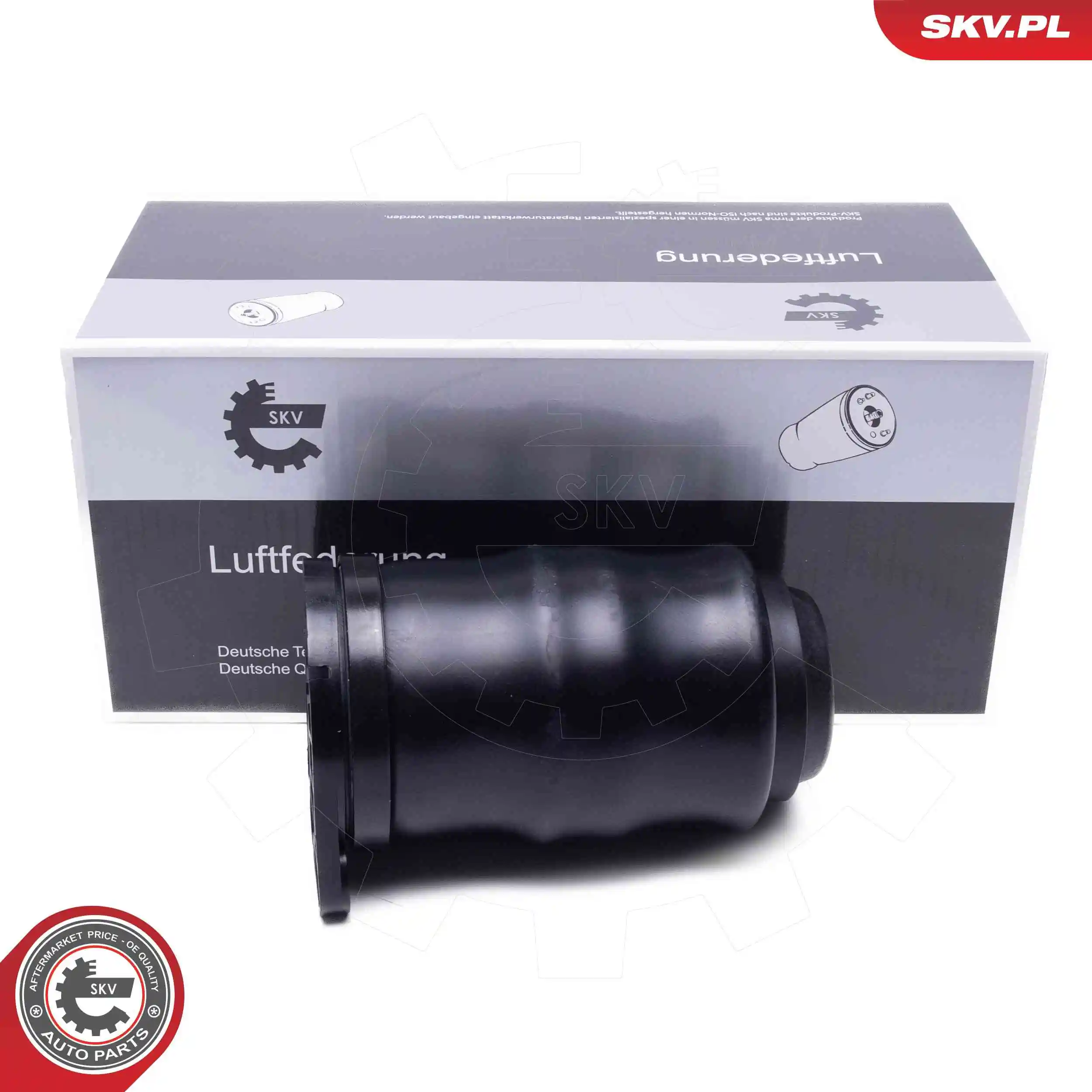 Air Spring, suspension